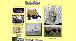 Desktop Screenshot of davidrose.us